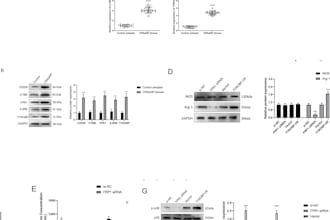 create scientific data visualizations in r or python