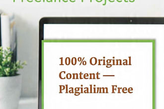 write SEO articles blog posts and urdu content for websites
