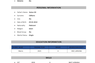 do professional ms word formatting, typing, and document design, CV
