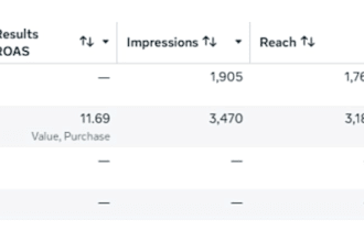 manage your meta and tiktok ads for maximum roas and sales