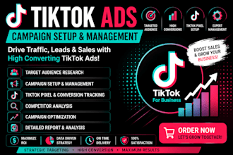 tiktok ads campaign setup tiktok ads management tiktok ads campaign optimization