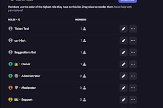 create and set up a professional discord server