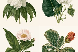 design elegant botanical illustrations for branding