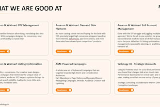be an amazon virtual assistant and amazon account manager