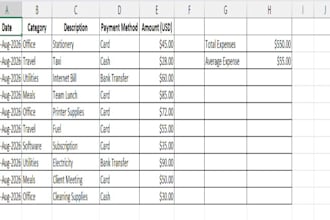 do excel bookkeeping, accounting and data entry tasks