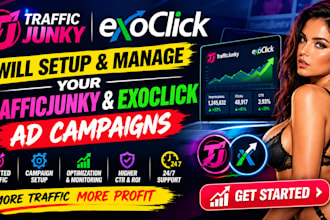 setup and manage your traffic junky and exoclick ad campaigns
