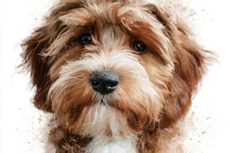 create a memorial pet portrait for engraving