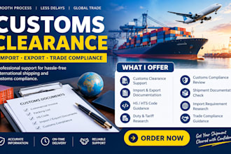 provide professional customs clearance, import export