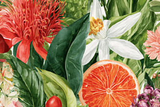 botanical illustration of flowers plants design