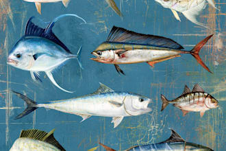 draw a fish illustration or fishing art for fishing shirt
