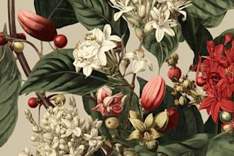 illustrate best botanical illustration