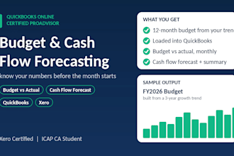 do business budget, cash flow forecast and budget vs actual reports