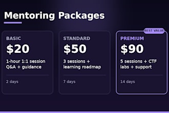 be your ethical hacking mentor and help with ctf challenges