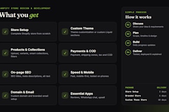 design professional shopify store and custom ecommerce shopify theme