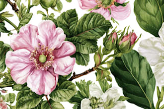 draw beautiful custom botanical illustrations for you