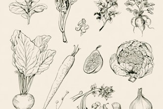 draw vintage type vegetable illustration
