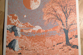 create niche colorful linocut and woodcut book illustrations