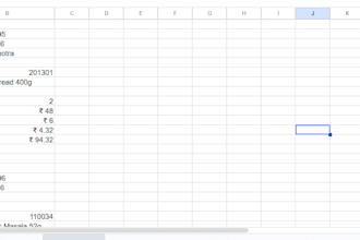do data entry with professional tools, intermediate python