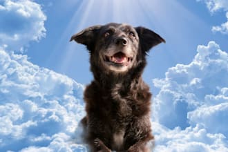 make a custom memorial pet portrait from photo