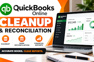 professionally clean up and reconcile your quickbooks online