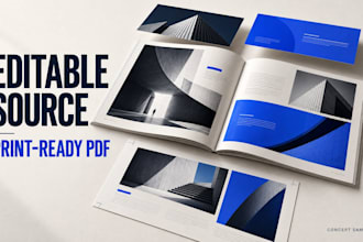 design a professional company profile and corporate brochure