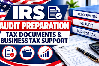 assist with irs audit preparation, tax documents, and business tax support