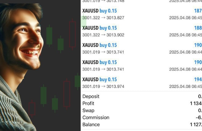 Michael D — forex bot developer specializing in MT4/MT5 EAs, risk management, and backtesting