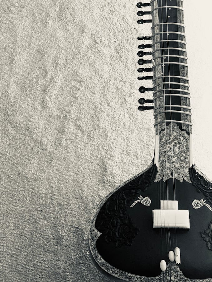 offer professional sitar lessons