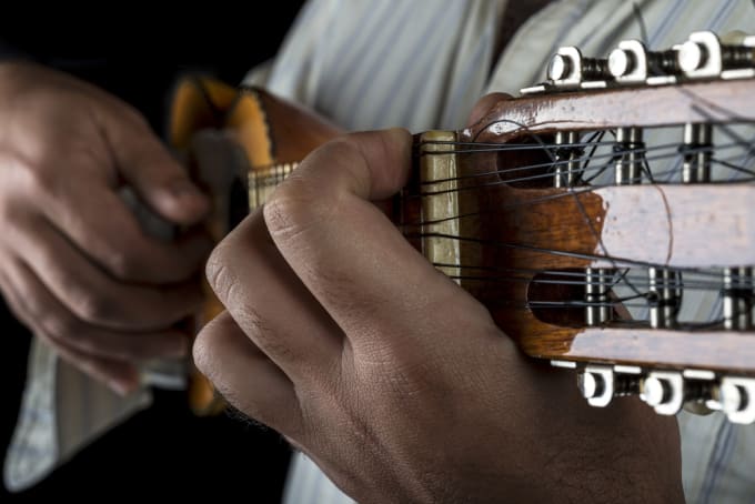Record Professional Charango On Your Song By Carloscarty Fiverr The charango, a peculiar instrument. record professional charango on your song