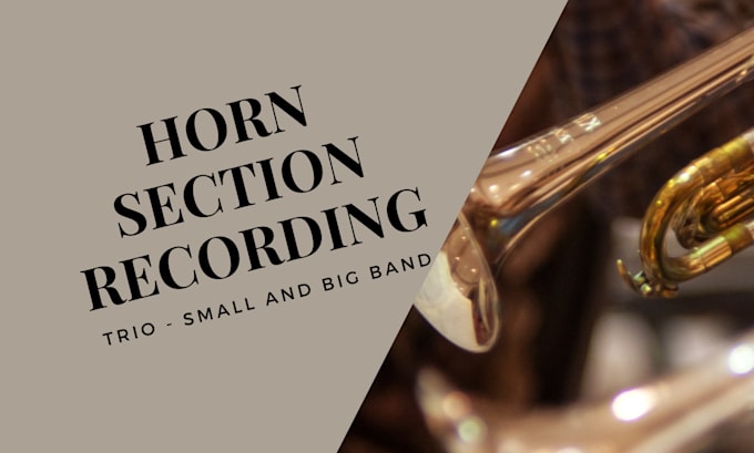 record pro horn section for you