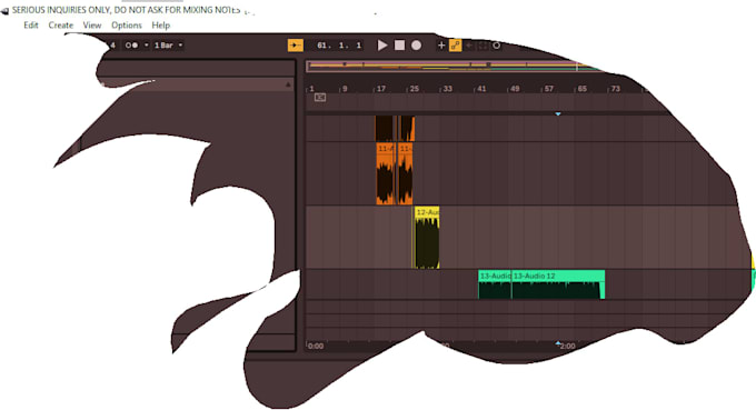 mix or post finalize a song for you