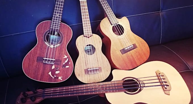 record unique ukulele arrangement of any song