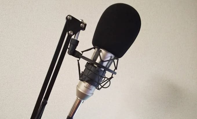be your japanese young boy voice over or voice acting, no ai involved