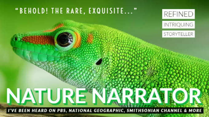 Record a voiceover as a nature documentary narrator by Cleancutvo | Fiverr