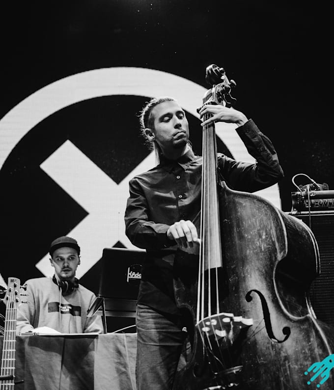 record pro bass guitar or double bass
