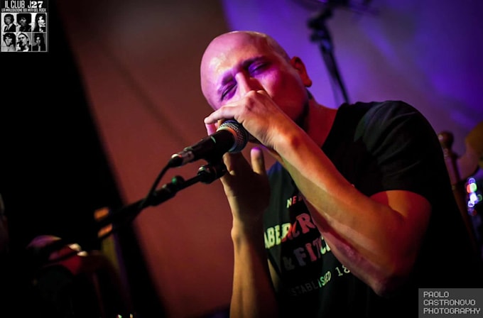 record harmonica track in any style for your song