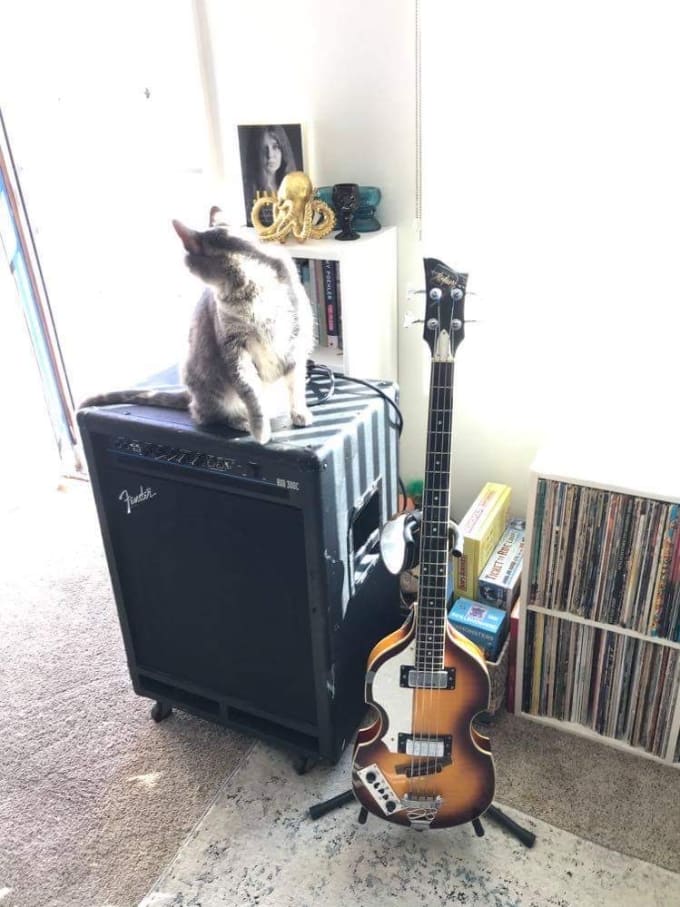 record electric bass for your track