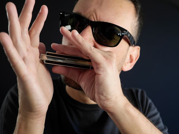 be your pro harmonica player