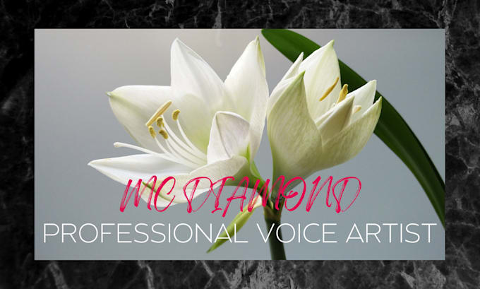 voice a friendly social media ad