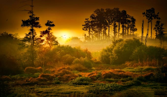 compose original relaxing and piano music for you