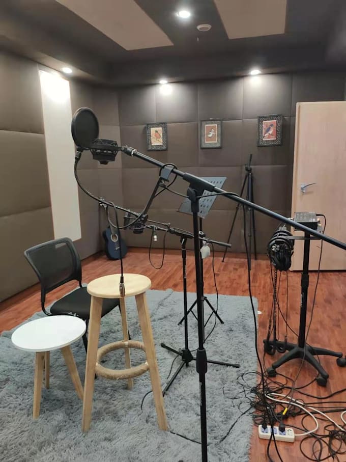 record a professional chinese mandarin female voice over 19