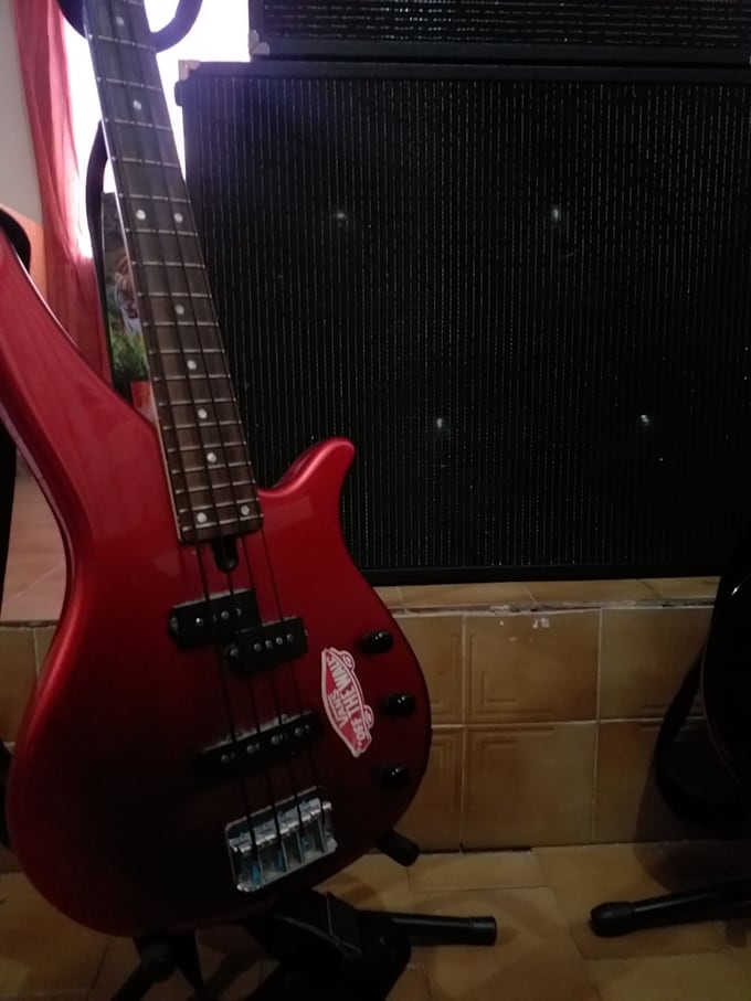 play your bass parts, for cheap