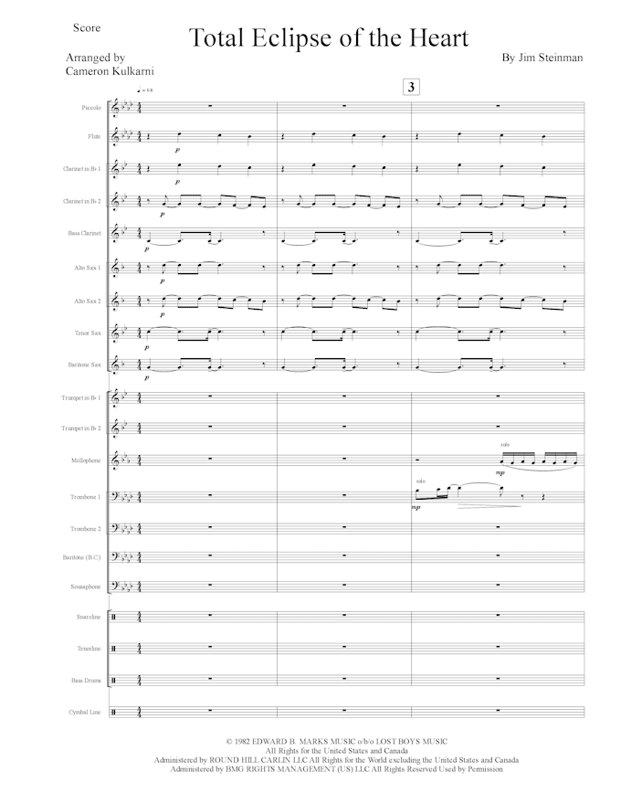 compose, arrange, or transcribe for any ensemble and instrument