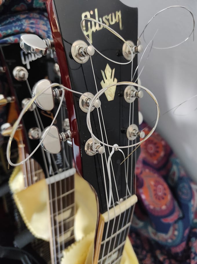 record high professional guitars in every genre and style