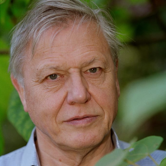 record a voiceover as david attenborough