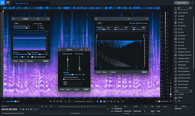 professionally clean your audio
