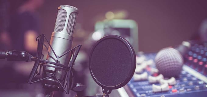 do professional voice over