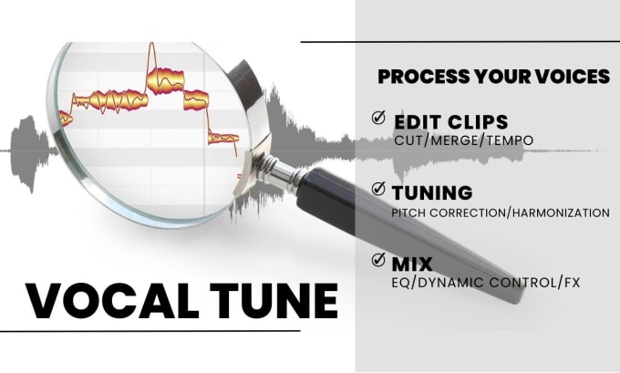 tune, edit and mix your voices and get perfect harmonies