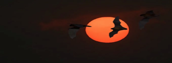 create a horror or dark theme music for you