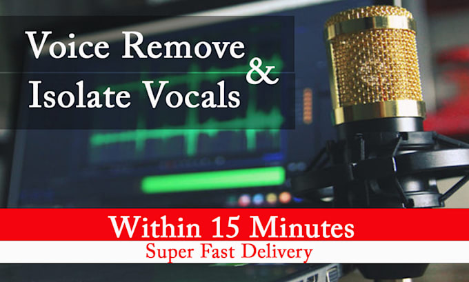 remove vocals professionaly from any audio